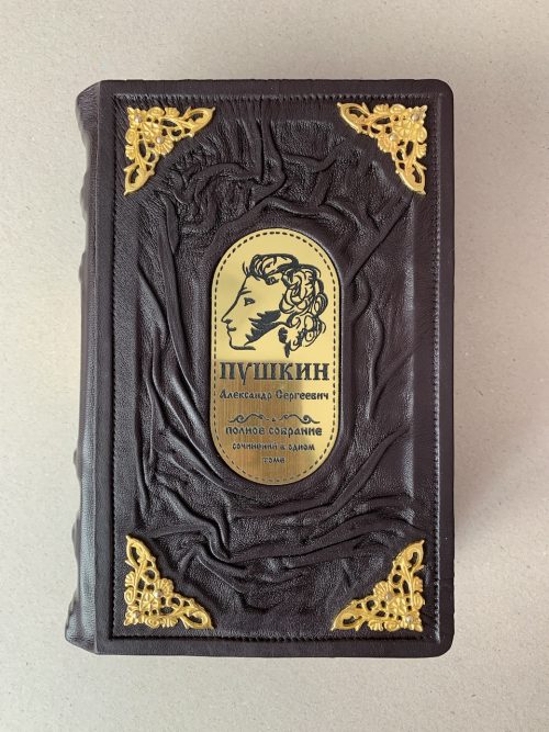 пушкин кожаная книга